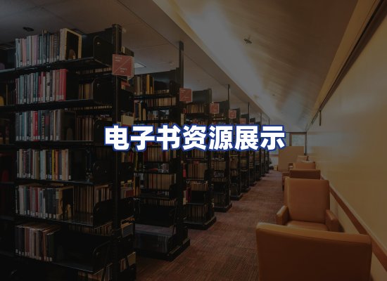 电子书资源展示